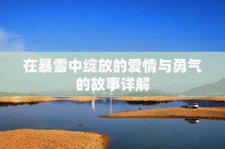 在暴雪中绽放的爱情与勇气的故事详解