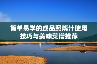 简单易学的成品照烧汁使用技巧与美味菜谱推荐