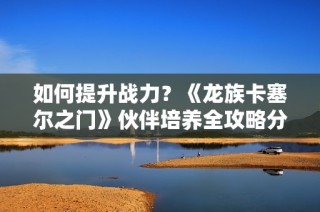 如何提升战力？《龙族卡塞尔之门》伙伴培养全攻略分享