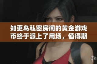 知更鸟私密房间的黄金游戏币终于派上了用场，值得期待的冒险之旅！