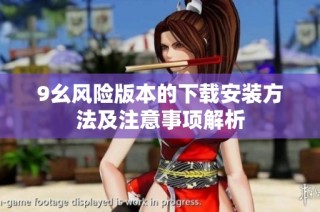 9幺风险版本的下载安装方法及注意事项解析