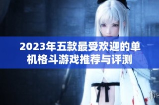 2023年五款最受欢迎的单机格斗游戏推荐与评测