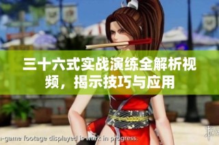 三十六式实战演练全解析视频，揭示技巧与应用