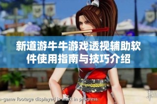 新道游牛牛游戏透视辅助软件使用指南与技巧介绍