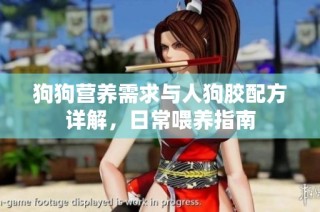 狗狗营养需求与人狗胶配方详解，日常喂养指南
