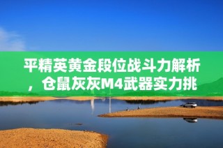 平精英黄金段位战斗力解析，仓鼠灰灰M4武器实力挑战全区玩家