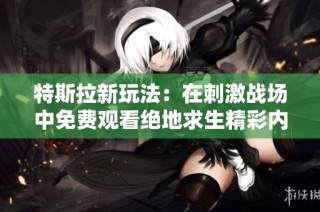 特斯拉新玩法：在刺激战场中免费观看绝地求生精彩内容