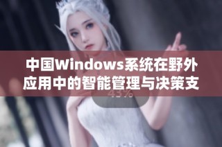 中国Windows系统在野外应用中的智能管理与决策支持分析