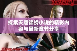 探索天唐锦绣小说的精彩内容与最新章节分享