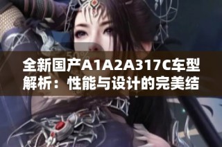 全新国产A1A2A317C车型解析：性能与设计的完美结合