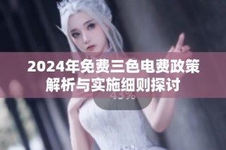 2024年免费三色电费政策解析与实施细则探讨