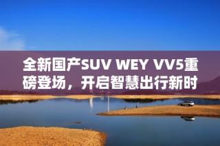 全新国产SUV WEY VV5重磅登场，开启智慧出行新时代