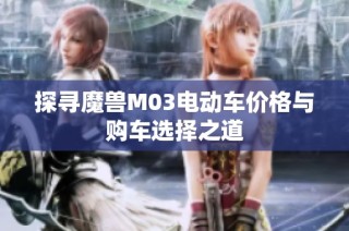 探寻魔兽M03电动车价格与购车选择之道