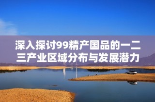 深入探讨99精产国品的一二三产业区域分布与发展潜力