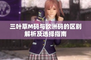 三叶草M码与欧洲码的区别解析及选择指南