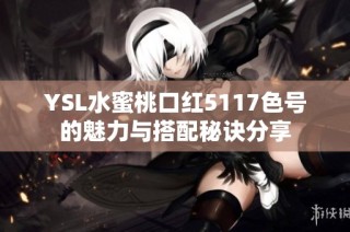YSL水蜜桃口红5117色号的魅力与搭配秘诀分享
