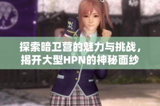 探索暗卫营的魅力与挑战，揭开大型HPN的神秘面纱