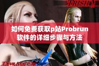 如何免费获取p站Probrun软件的详细步骤与方法