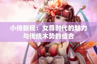 小侍新规：女尊时代的魅力与传统木势的结合