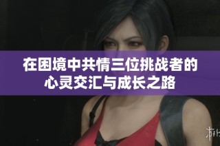 在困境中共情三位挑战者的心灵交汇与成长之路