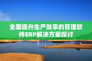 全面提升生产效率的管理软件ERP解决方案探讨