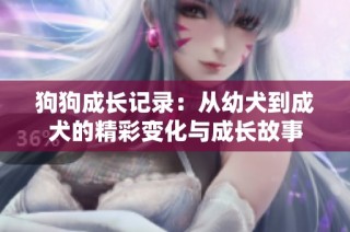 狗狗成长记录：从幼犬到成犬的精彩变化与成长故事