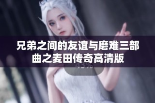 兄弟之间的友谊与磨难三部曲之麦田传奇高清版