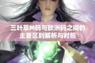 三叶草M码与欧洲码之间的主要区别解析与对照