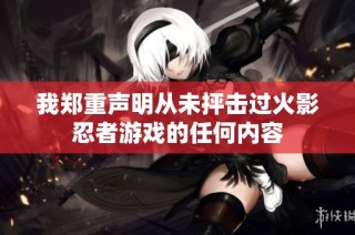 我郑重声明从未抨击过火影忍者游戏的任何内容