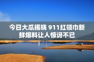 今日大瓜揭晓 911红领巾新鲜爆料让人惊讶不已