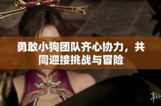 勇敢小狗团队齐心协力，共同迎接挑战与冒险