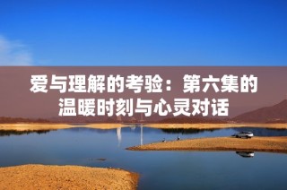 爱与理解的考验：第六集的温暖时刻与心灵对话