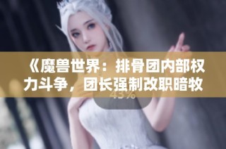 《魔兽世界：排骨团内部权力斗争，团长强制改职暗牧引发争议》