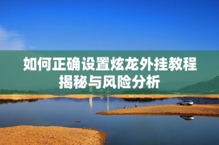 如何正确设置炫龙外挂教程揭秘与风险分析