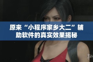 原来“小程序家乡大二”辅助软件的真实效果揭秘