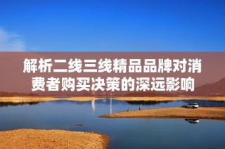 解析二线三线精品品牌对消费者购买决策的深远影响
