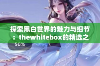 探索黑白世界的魅力与细节：thewhitebox的精选之旅