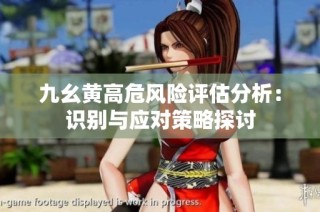 九幺黄高危风险评估分析：识别与应对策略探讨