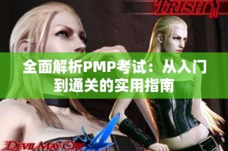 全面解析PMP考试：从入门到通关的实用指南