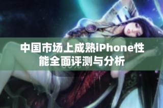 中国市场上成熟iPhone性能全面评测与分析