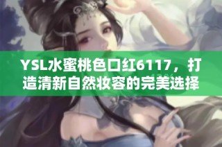 YSL水蜜桃色口红6117，打造清新自然妆容的完美选择
