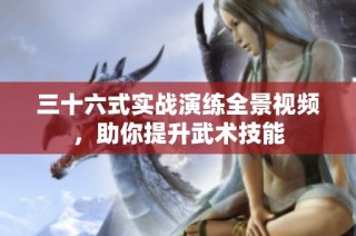 三十六式实战演练全景视频，助你提升武术技能