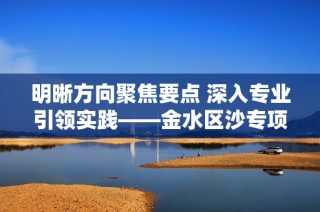 明晰方向聚焦要点 深入专业引领实践——金水区沙专项研究新动向