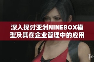 深入探讨亚洲NINEBOX模型及其在企业管理中的应用