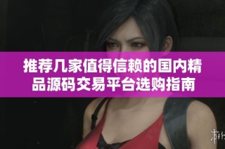 推荐几家值得信赖的国内精品源码交易平台选购指南