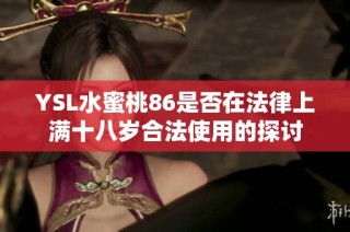 YSL水蜜桃86是否在法律上满十八岁合法使用的探讨