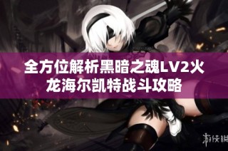 全方位解析黑暗之魂LV2火龙海尔凯特战斗攻略