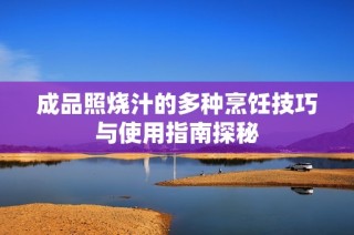 成品照烧汁的多种烹饪技巧与使用指南探秘