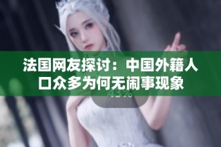 法国网友探讨：中国外籍人口众多为何无闹事现象