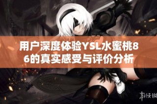 用户深度体验YSL水蜜桃86的真实感受与评价分析